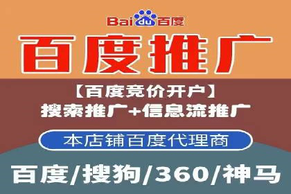 SEM竞价代运营公司案例深度解析